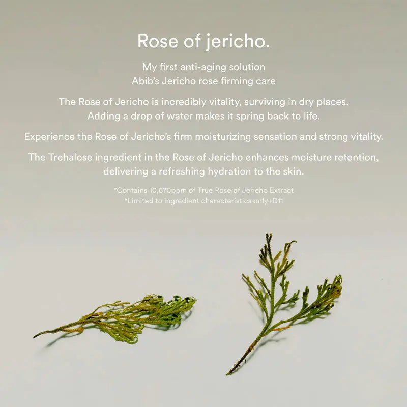 Abib Jericho Rose Collagen Pad Firming Touch 250ml / 60pads-4